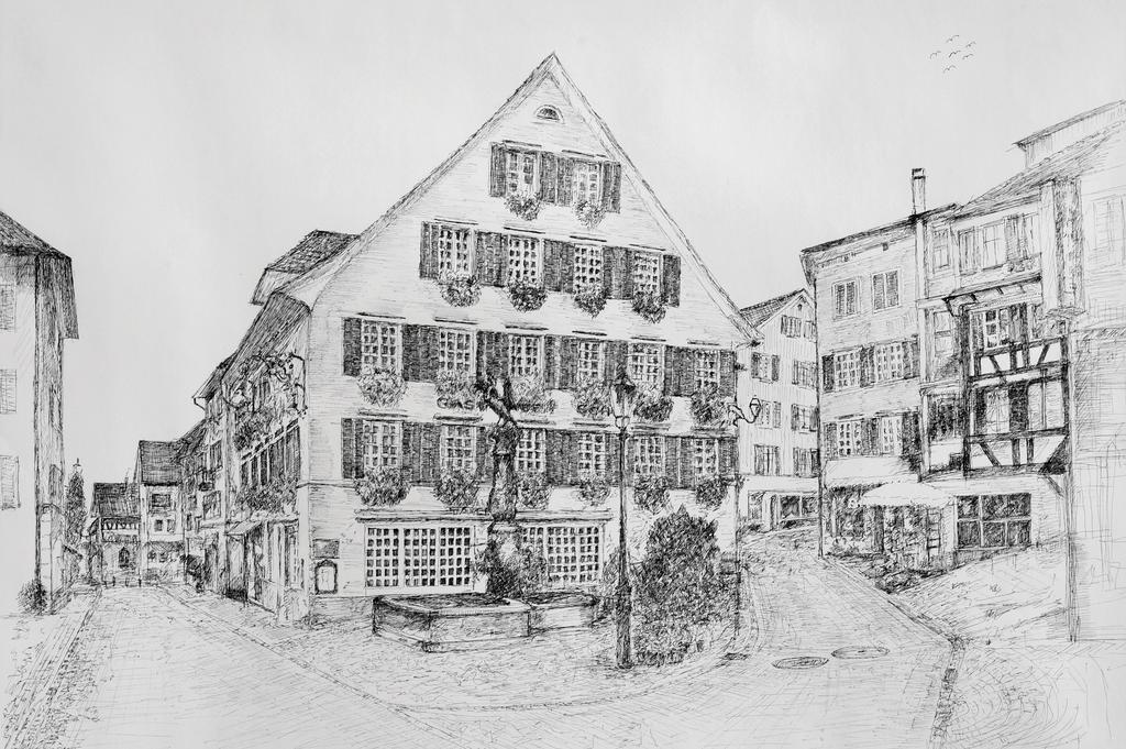 Romantik Hotel Schwan Horgen Buitenkant foto