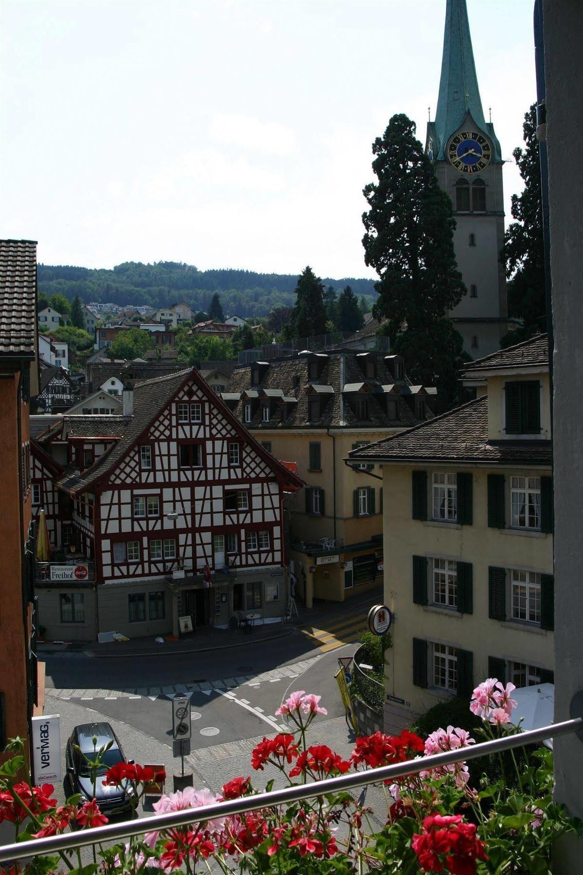 Romantik Hotel Schwan Horgen Buitenkant foto